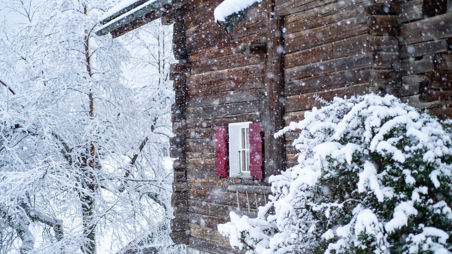 TEXIER IMMOBILIER